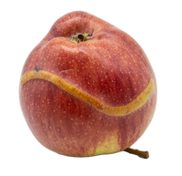 Äpfel