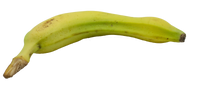 Bananen