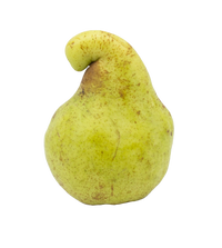 Birnen