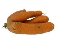 Karotten