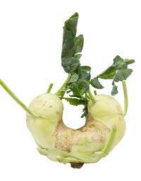 Kohlrabi