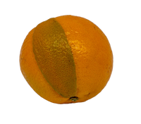 Orangen