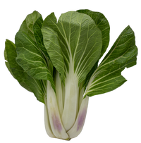 Pak Choi