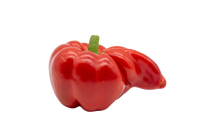 Paprika