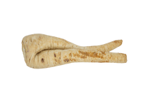Petersilienwurzel
