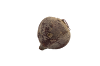 Rote Beete