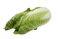 Salat