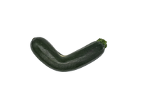 Zucchini