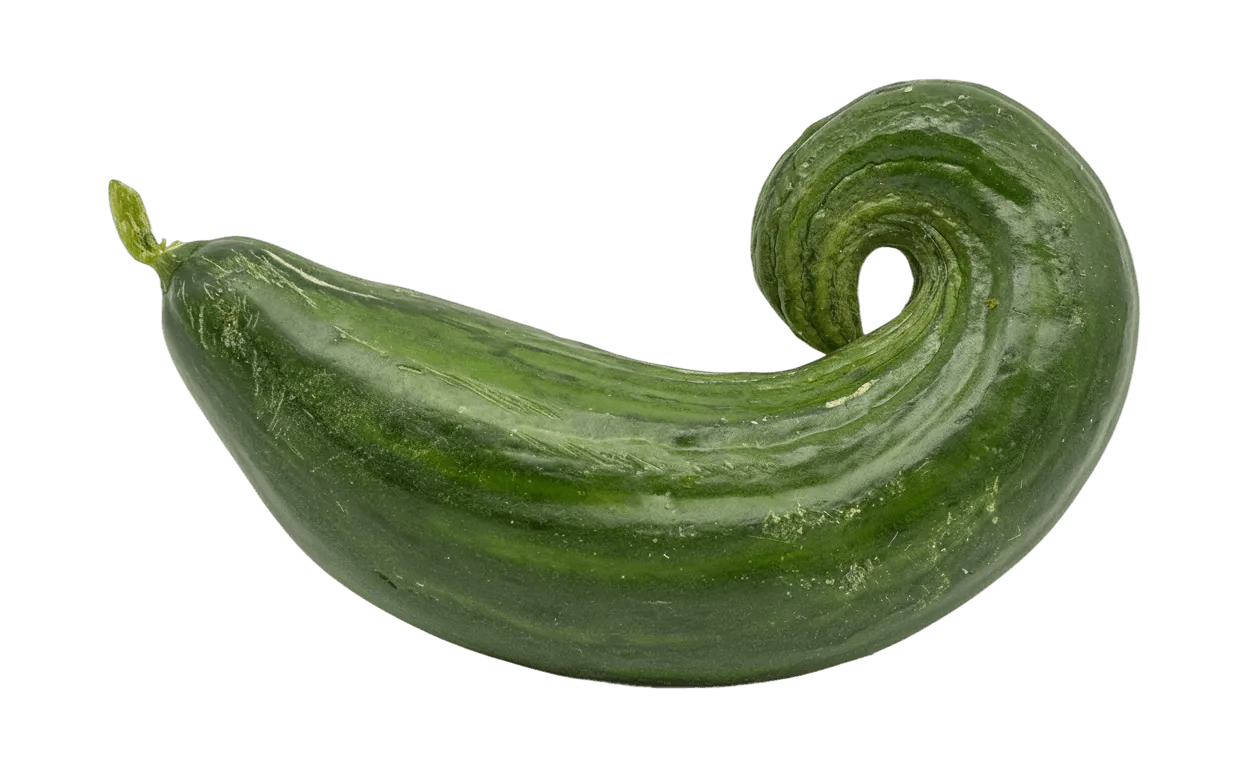 blumenkohl
