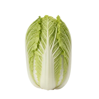 Chinakohl