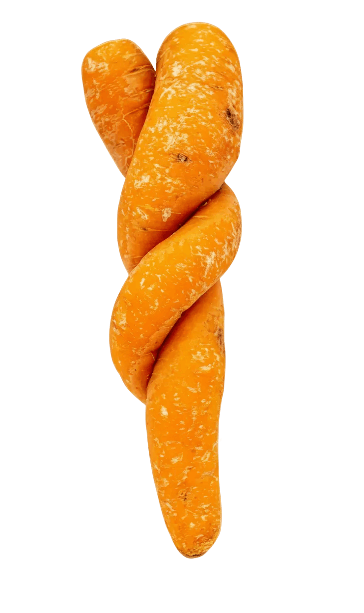 karottegedreht